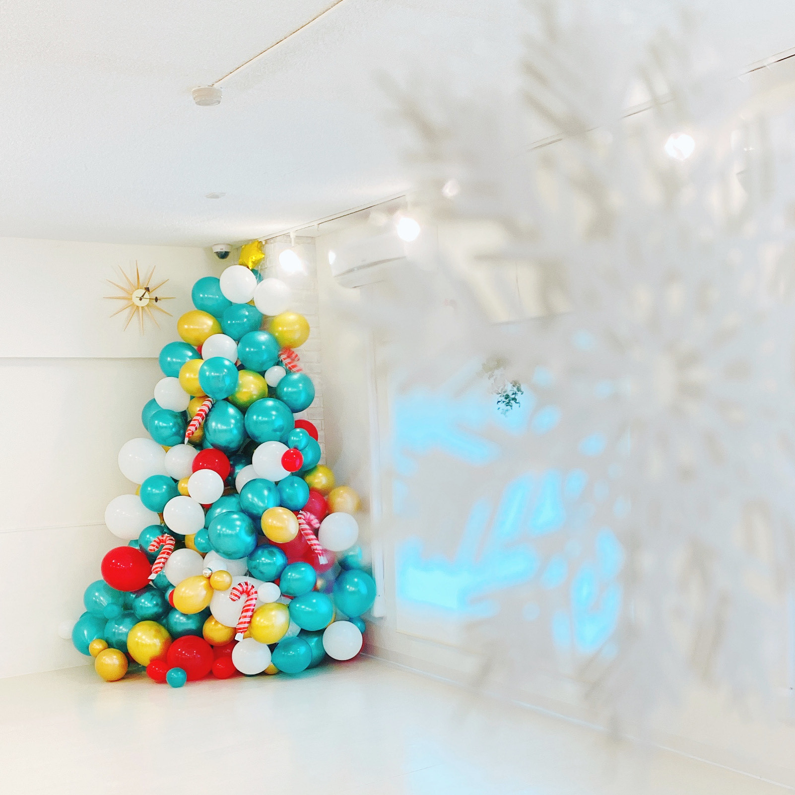 恵比寿バレエ教室のクリスマスツリー